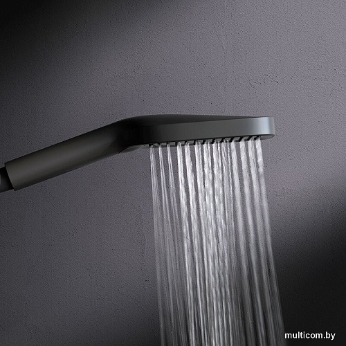 Душевая лейка AM.PM Func F028F022
