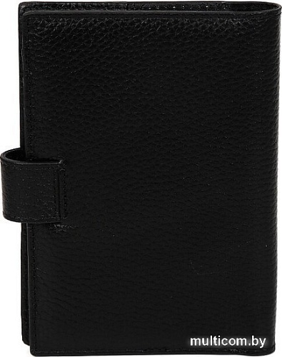 Обложка на документы Fabretti 54022D-2