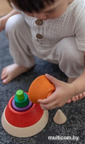 Пирамидка Plan Toys Чашка 5465