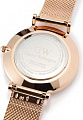 Наручные часы Daniel Wellington DW00100163
