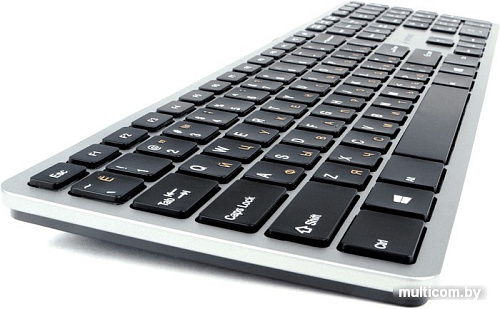 Клавиатура Gembird KB-8420