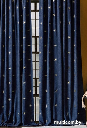 Комплект штор Pasionaria Бэлли 290x230 (2 шт, синий)