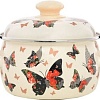 Кастрюля Эстет Бабочки ЭТ-72932