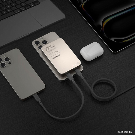 Внешний аккумулятор Momax Q.Mag X2 Magnetic IP133 20000mAh (титановый)