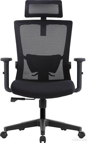 Офисное кресло Evolution ErgoLine 1 (черный)