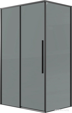 Душевой уголок Grossman Galaxy 100x80x195 120.K33.01.1080.21.10 (черный матовый/тонированное стекло)