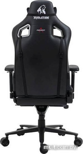 Кресло Evolution Project A (черный/белый)