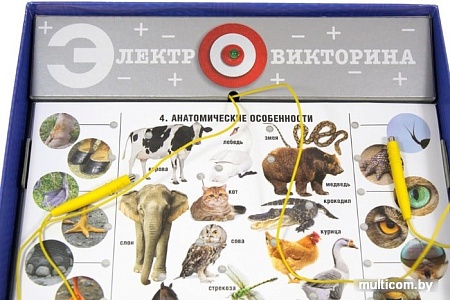 Настольная игра Десятое королевство Электровикторина Живая природа