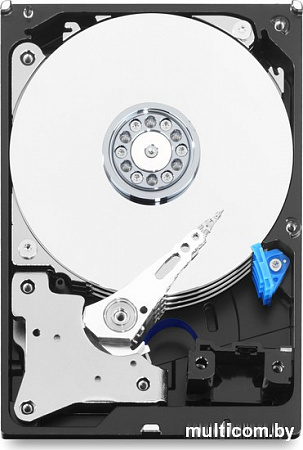 Жесткий диск WD Purple 2TB [WD20PURZ]