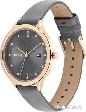 Наручные часы Tommy Hilfiger 1782430