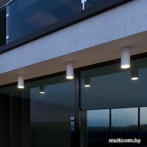 Уличный накладной светильник Elektrostandard Light 2102 35129/H (белый)