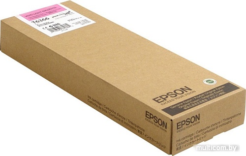 Картридж Epson C13T636600