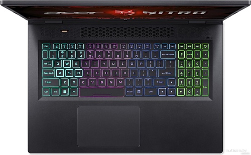 Игровой ноутбук Acer Nitro 17 AN17-41-R83D NH.QL2CD.002