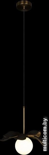 Люстра средней высоты LOFT IT Monro 10213/A Black