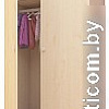 Шкаф распашной Polini Kids Simple двухсекционный (натуральный)