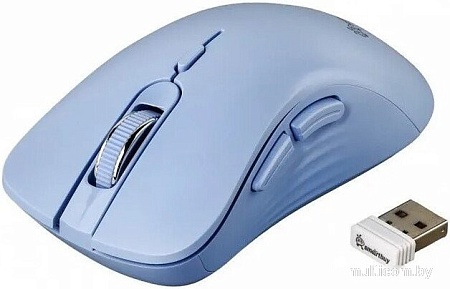 Мышь SmartBuy 616AG SBM616AGB (голубой)