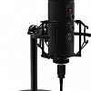 Ritmix RDM-260 USB Eloquence
