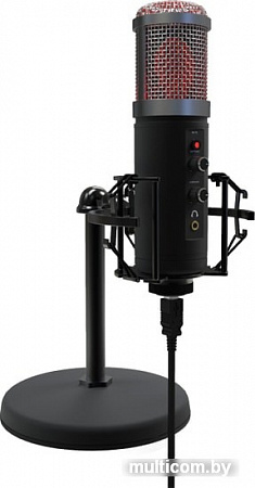 Ritmix RDM-260 USB Eloquence
