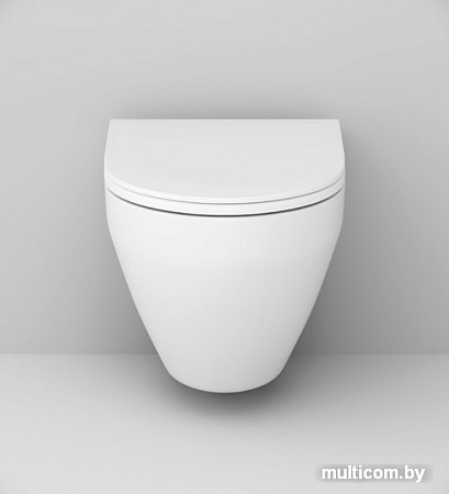 Унитаз AM.PM Spirit 2.0 FlashClean IS47051.701700