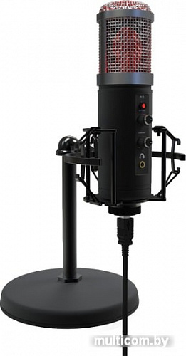 Ritmix RDM-260 USB Eloquence