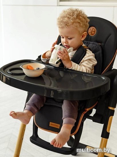 Высокий стульчик Amarobaby Elegant AB23-23EL/09 (черный)