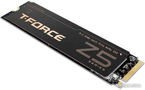 SSD Team T-Force Cardea Z540 2TB TM8FF1002T0C129