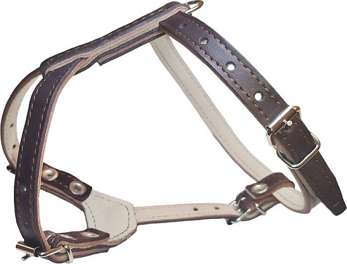 Шлея Сима b12BR (коричневый)