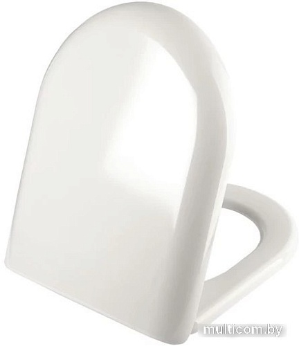 Сиденье для унитаза IDDIS Optima Home 001DPSEi31