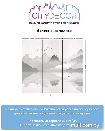 Фотообои Citydecor Абстракция 107 300x260