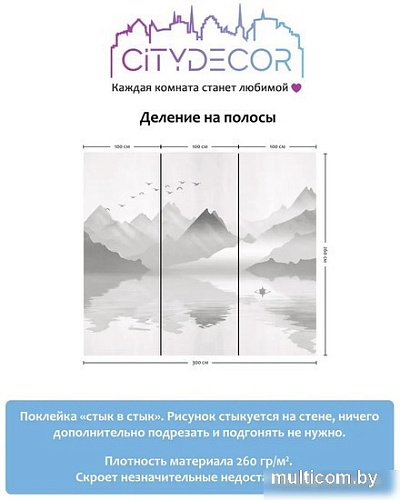 Фотообои Citydecor Абстракция 107 300x260