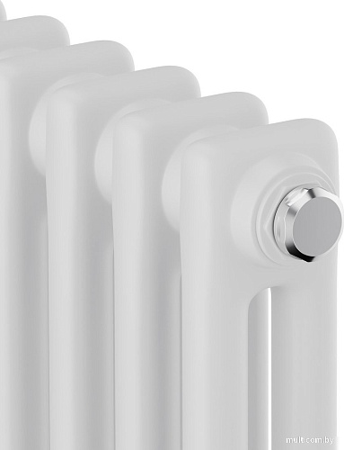 Стальной трубчатый радиатор Royal Thermo Insignia C2180 - 06 секций RAL9016