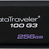 USB Flash Kingston DataTraveler 100 G3 256GB