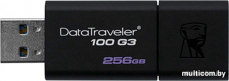 USB Flash Kingston DataTraveler 100 G3 256GB