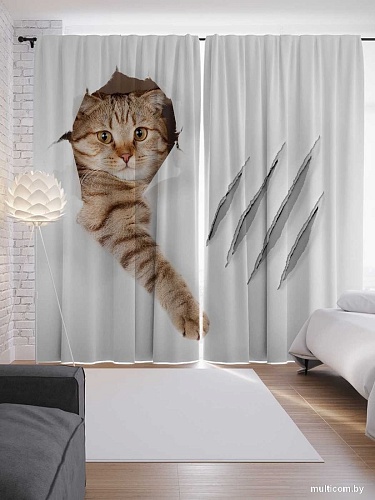 JoyArty Кот с царапиной p_31202