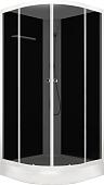 Душевой уголок Domani-Spa Eco Delight Slim 88 80x80 DS01EcDS88LBT00