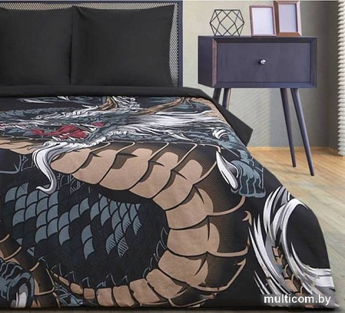 Постельное белье Этель Dragon 9543693