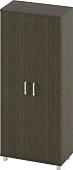 Шкаф распашной Славянская столица Г-542 (венге)