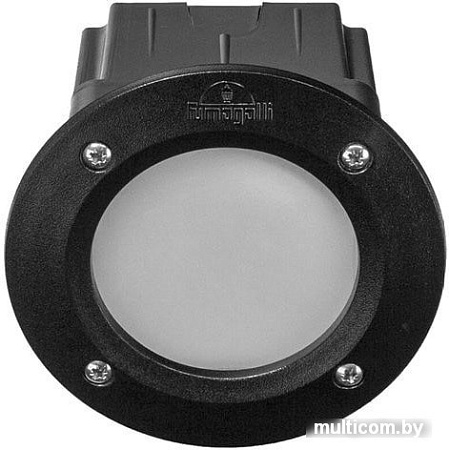 Тротуарный встраиваемый светильник Fumagalli Leti 2C1.000.000.AYG1L