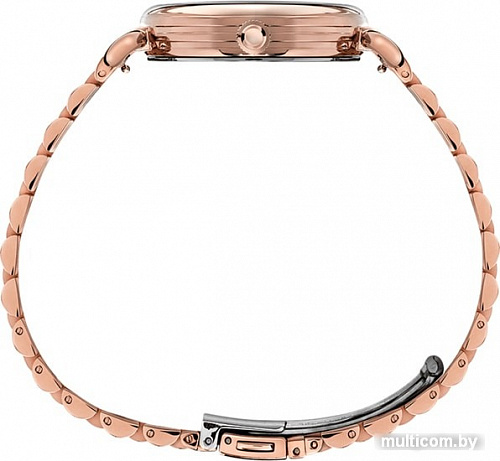 Наручные часы Timex TW2T88500