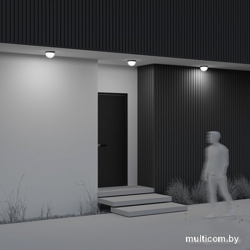 Уличный подвесной светильник Maytoni Mon O438CL-L12GF3K