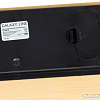 Напольные весы Galaxy GL4813