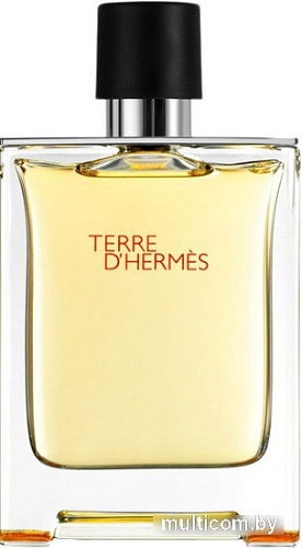 Hermes Terre d'Hermes EdT (100 мл)