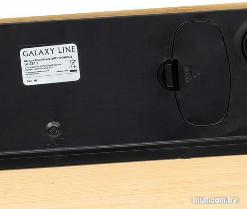 Напольные весы Galaxy GL4813