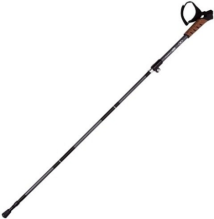 Треккинговые палки RGX TFG-04C