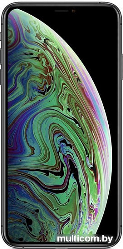 Смартфон Apple iPhone XS Max 512GB (серый космос)