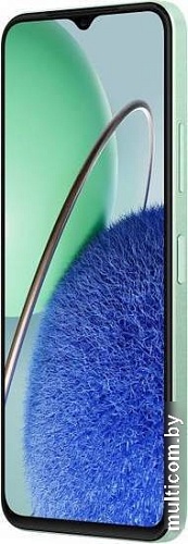 Смартфон Huawei Nova Y61 EVE-LX9N 6GB/64GB с NFC (мятный зеленый)