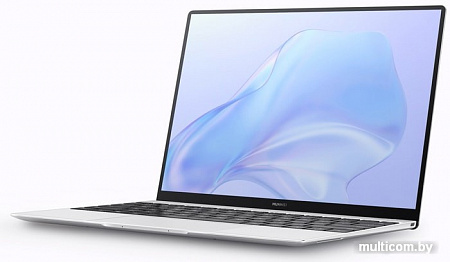 Ноутбук Huawei MateBook X 2020 EUL-W19P 53011EBR