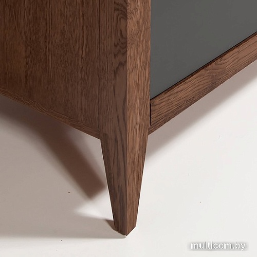 Тумба Гомельдрев Аспен ГМ 1625 Дуб (антрацит/табак)