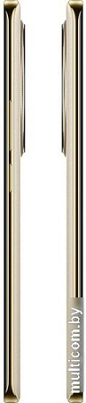 Смартфон Realme 12 Pro+ 12GB/512GB (бежевый)