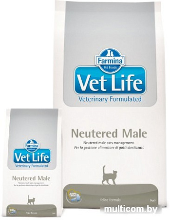 Корм для кошек Farmina Vet Life Neutered Male 2 кг